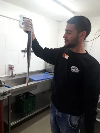 גבל 