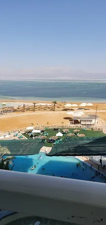 Zog arab
