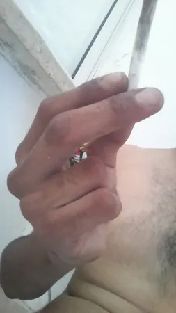 ההודי הנדיר