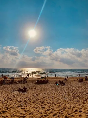 תאמרר