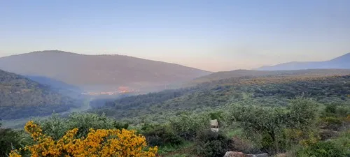 דני9