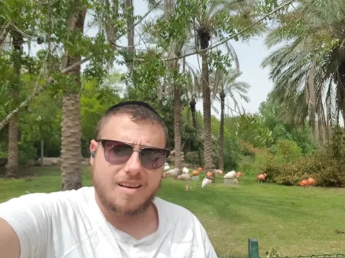 חמי 2020