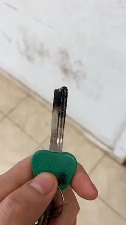 הקולטט 4