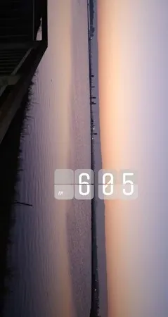 אלד