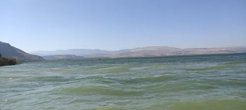 גוניוריטו