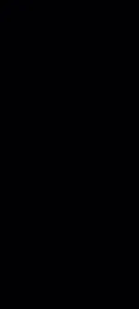מיקי החם 