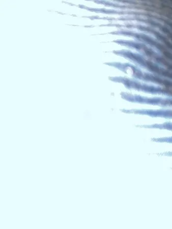 ינאי456