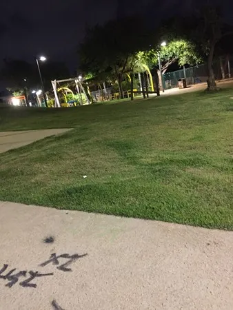 אסי zzzz