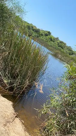 גובאני3334