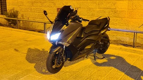 פלברה 