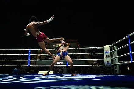 ProFighter