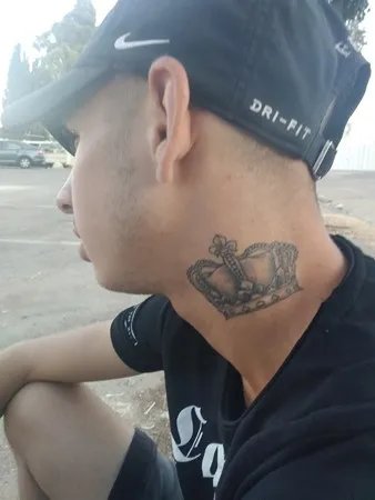 סוס יפה גזעי