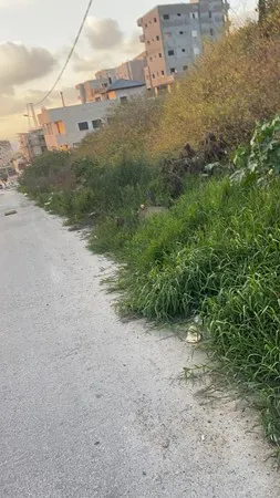 ZRD