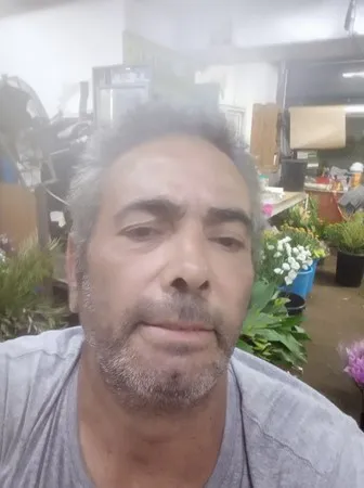 דוכי
