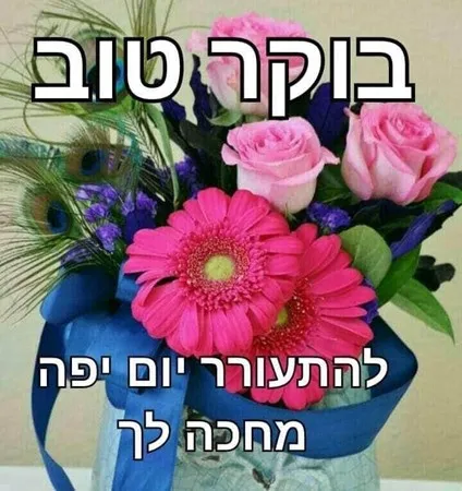 פינקייייייי