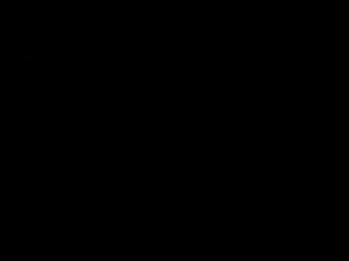 שלמה המלךךך