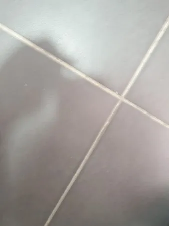 Ggbgg