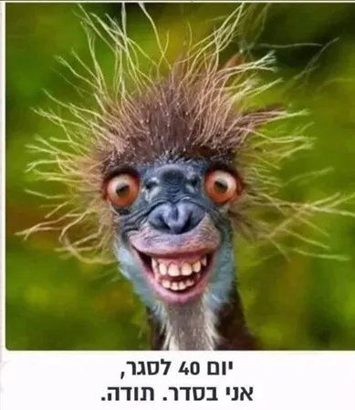 סעמו