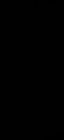 משה828282