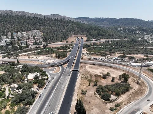 תמנינודד