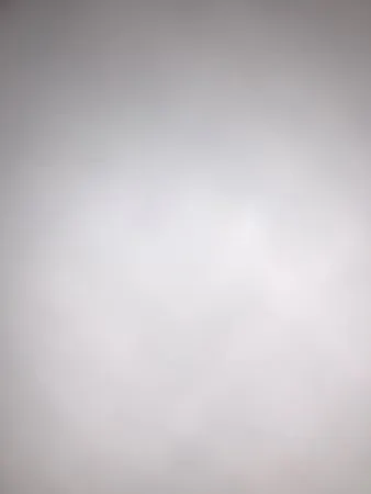 dexymexy