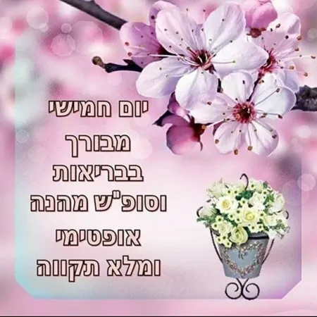 נדולוווש 