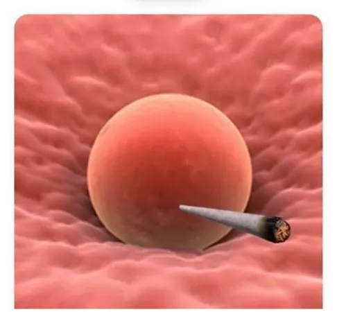 Dodoma 