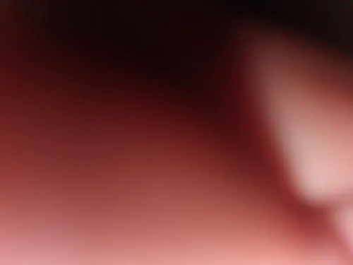 Alex645
