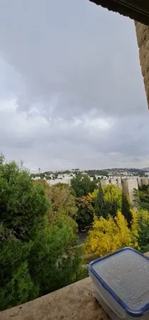 מונדי בכר