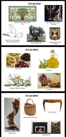 שריתוששש30