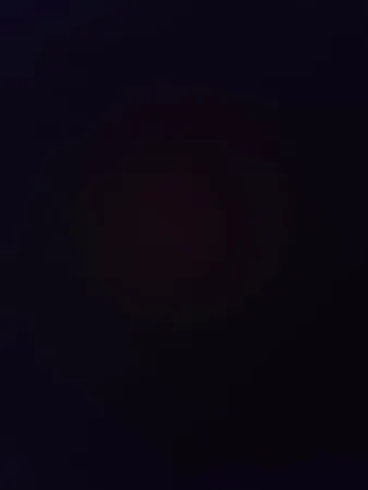 E l