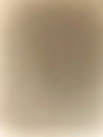 Rbigdick