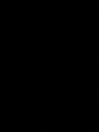 אושר 12