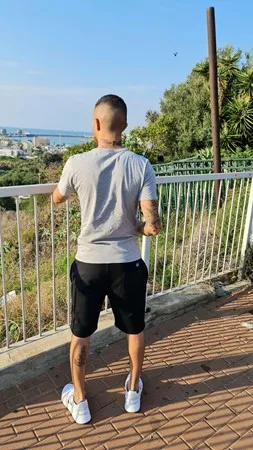 ארטיקארטיק