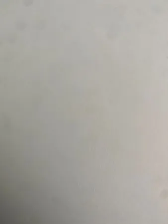 אוצלי גוזלי 