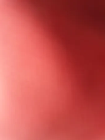 Netanel112244