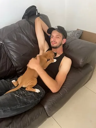 חי מלך