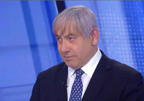זיו3