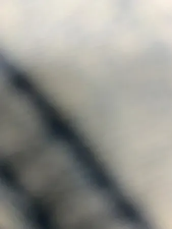 מעדיף טראנסיות