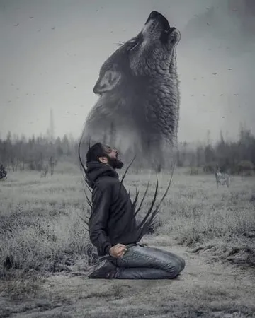 Wolf256