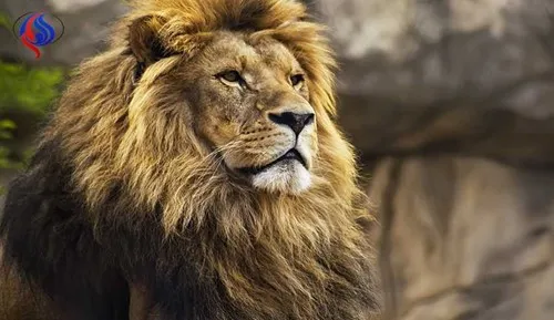 Sar94