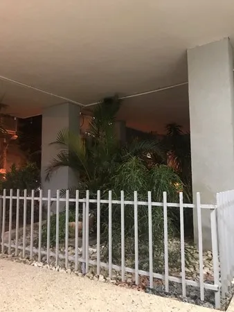 טל גור
