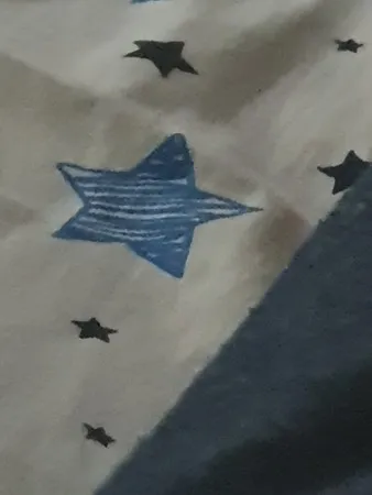 רוני מהצפון
