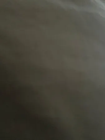 Monty54