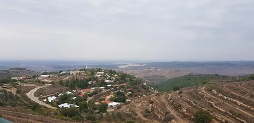 Rambi