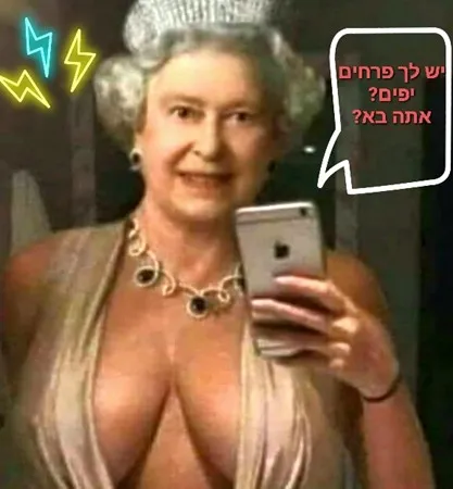 סטלנית לטינית