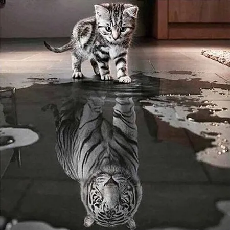 leo21