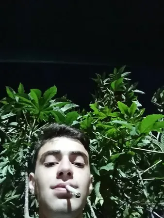 ליאור בן אליעזר