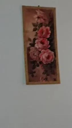 אדם אדמה