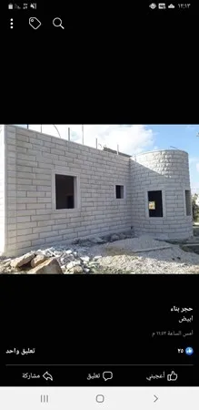 محيي